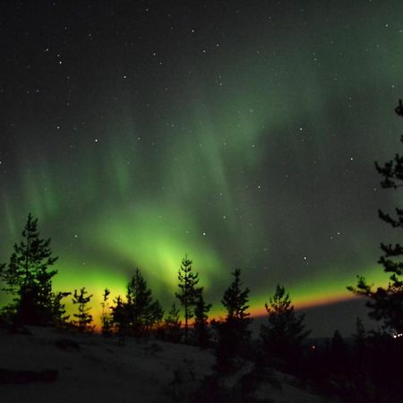 Lagomhuset - A Peaceful Holiday In Swedish Lapland Vidsel المظهر الخارجي الصورة