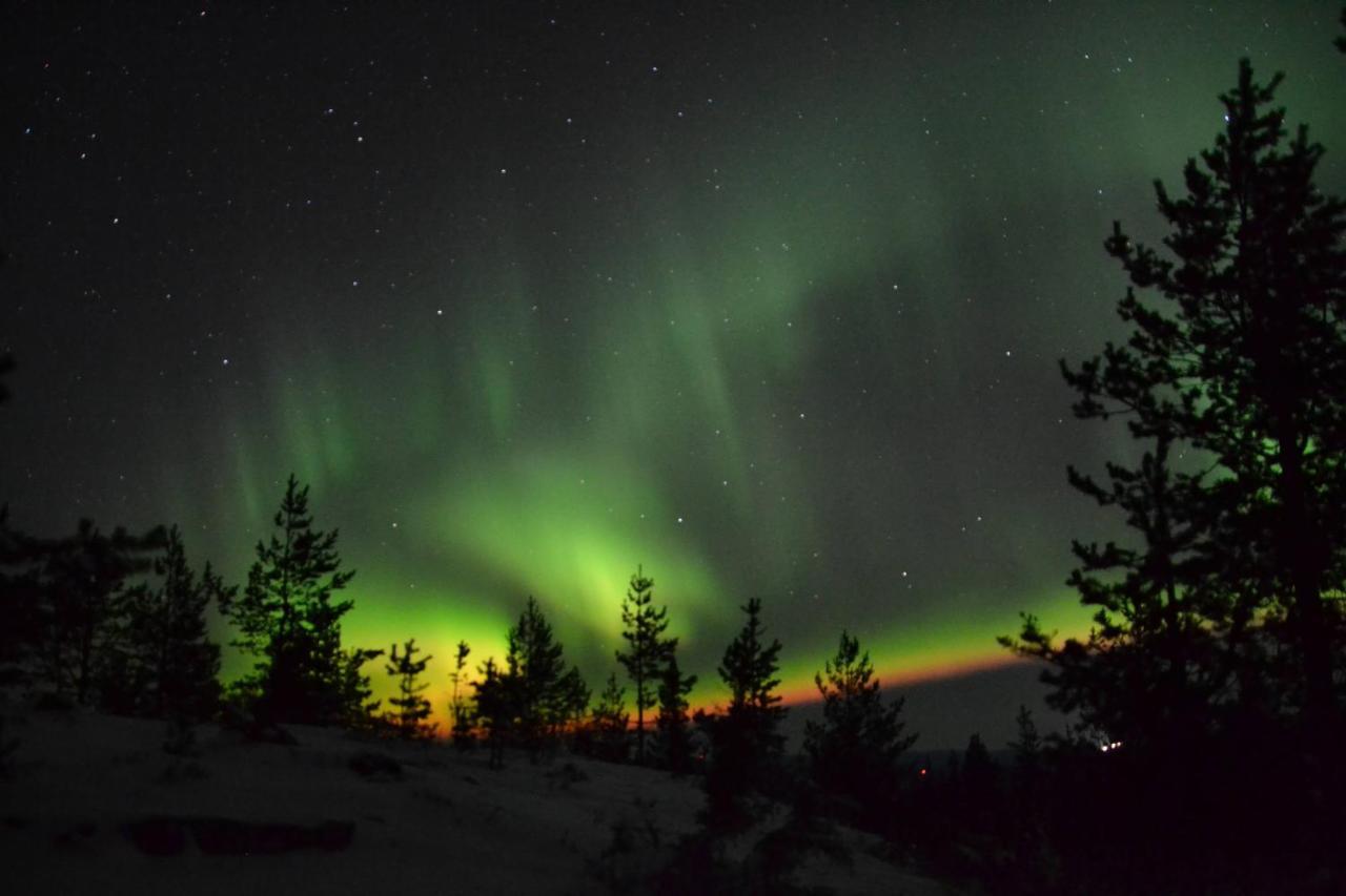 Lagomhuset - A Peaceful Holiday In Swedish Lapland Vidsel المظهر الخارجي الصورة