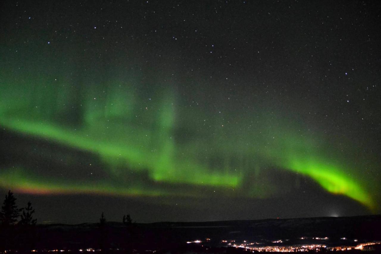 Lagomhuset - A Peaceful Holiday In Swedish Lapland Vidsel المظهر الخارجي الصورة