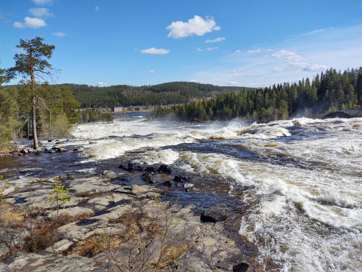 Lagomhuset - A Peaceful Holiday In Swedish Lapland Vidsel المظهر الخارجي الصورة