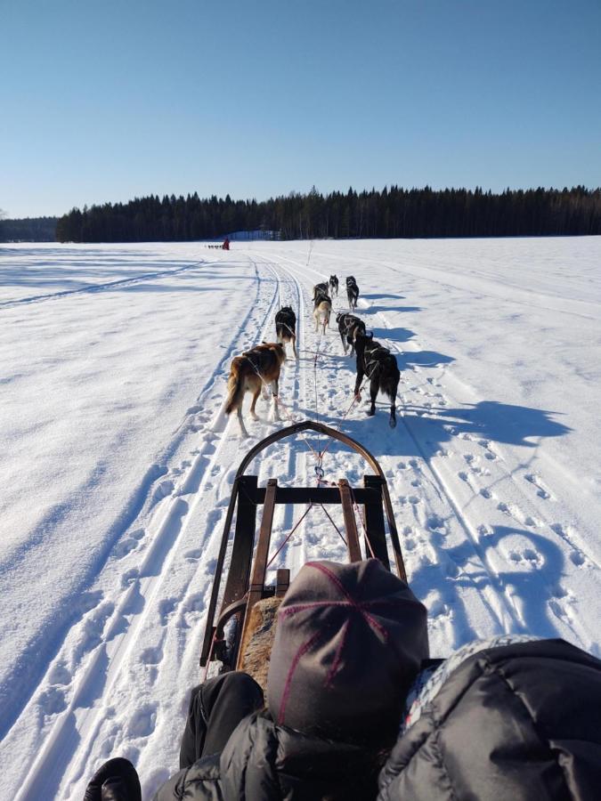 Lagomhuset - A Peaceful Holiday In Swedish Lapland Vidsel المظهر الخارجي الصورة